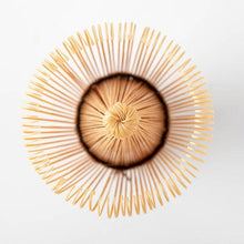 Load image into Gallery viewer, Chasen-Bamboo Whisk 100 prongs - Den's Tea