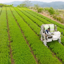 Load image into Gallery viewer, Organic Guricha
