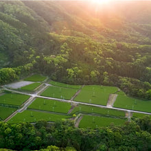 Load image into Gallery viewer, Organic Sencha Yutaka-Midori
