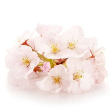 Load image into Gallery viewer, Sakura Ryokucha - Den's Tea
