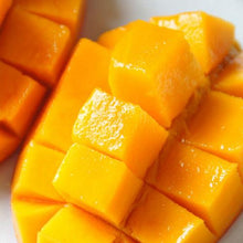 Load image into Gallery viewer, Mango Iced Green Tea Bags - Den's Tea
