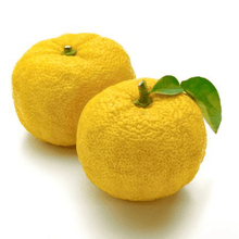 Load image into Gallery viewer, Yuzu Kukicha with Matcha - Den's Tea
